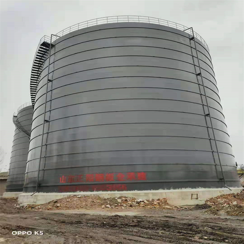 群英乡3万吨大型钢板库