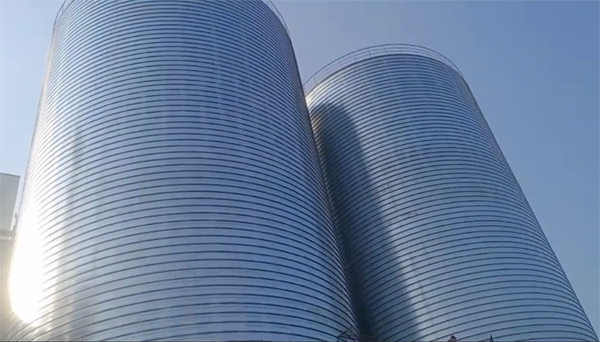 群英乡2座混凝土高架卷板仓